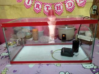 (Category: ) located in . Submitted by ryukyagami (Listing ID 1065672776, Image 1). Description: .