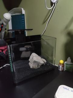 (Category: ) located in . Submitted by ababifi (Listing ID 1065702513, Image 1). Description: .