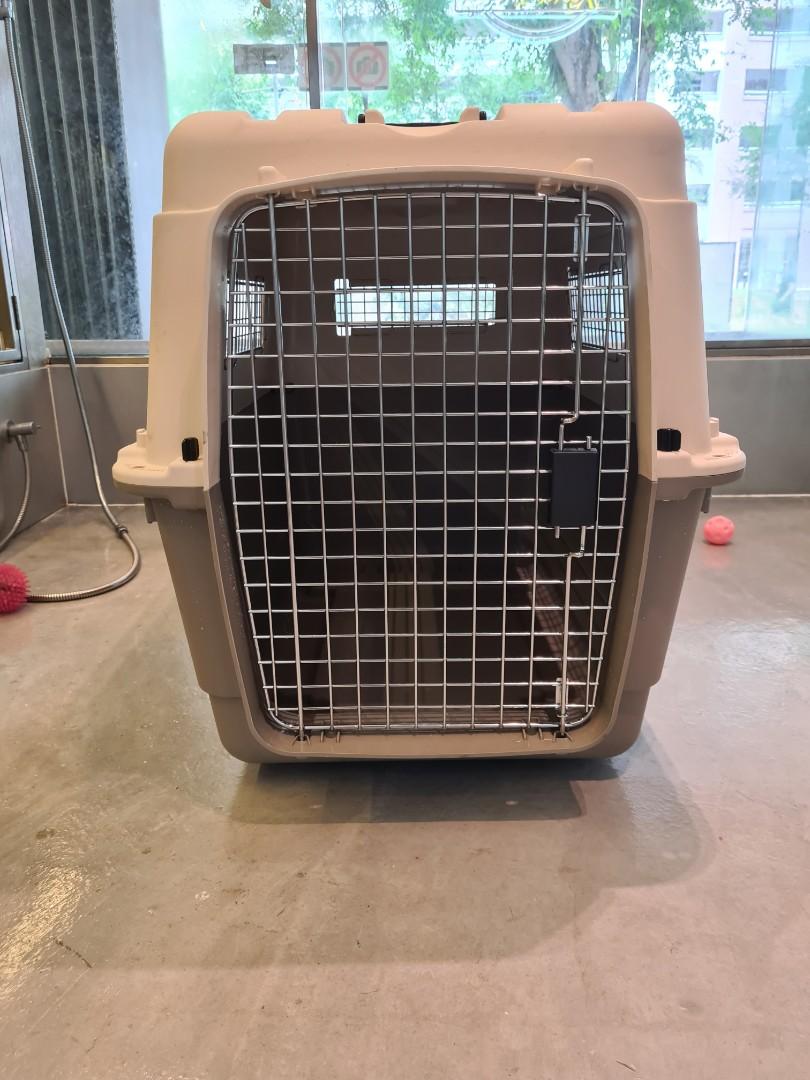 Dog Crate, Pet Supplies, Homes & Other Pet Accessories on Carousell