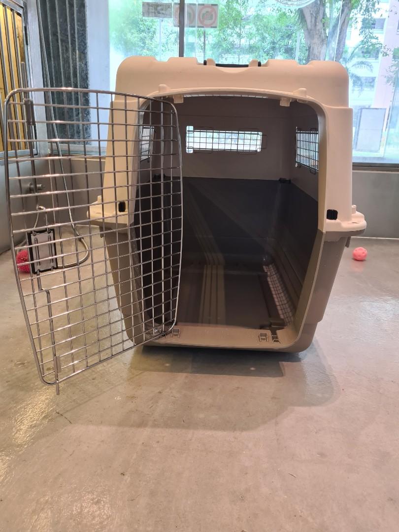 Dog Crate, Pet Supplies, Homes & Other Pet Accessories on Carousell