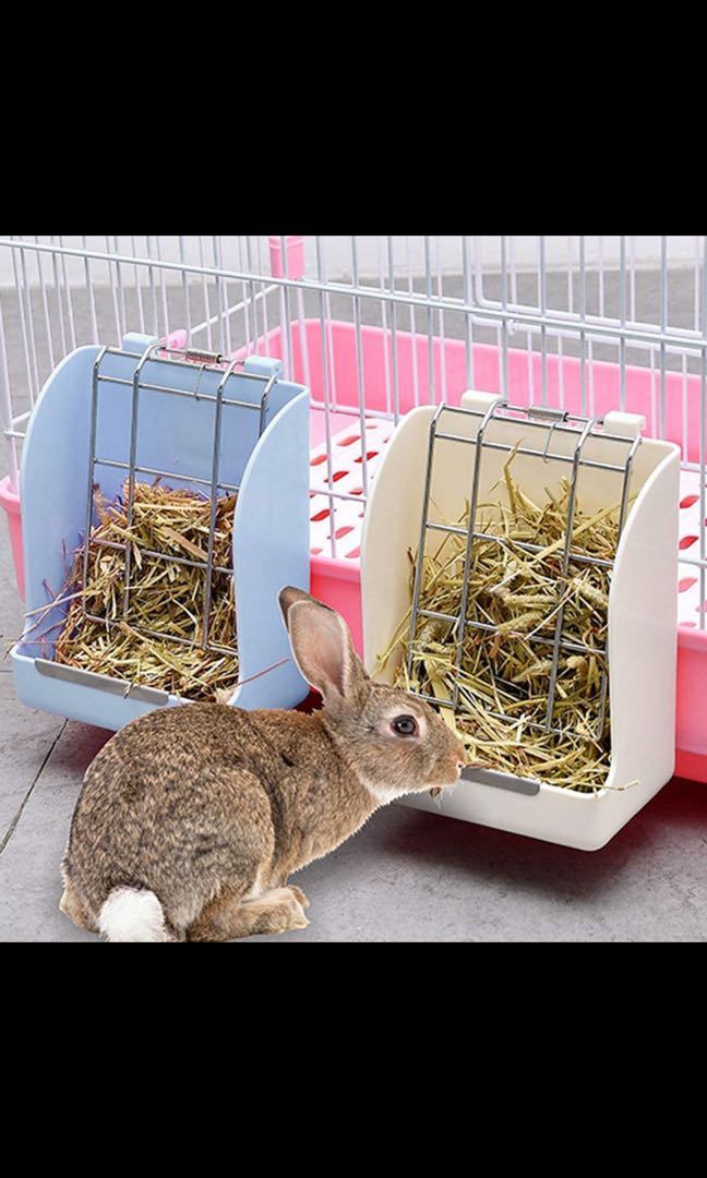 Hay Rack for Rabbit, Pet Supplies, Homes & Other Pet Accessories on
