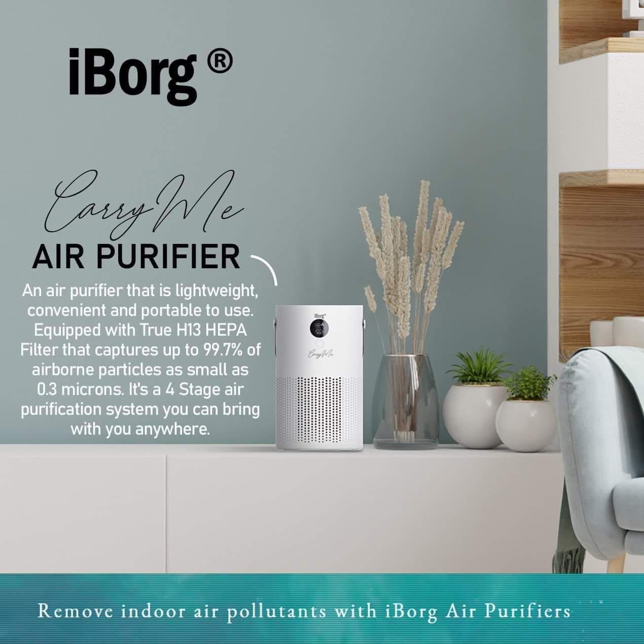 Iborg mini air purifier clearance