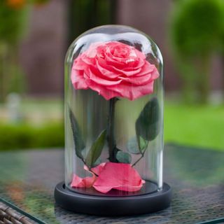 (Category: ) located in . Submitted by shopwithnut (Listing ID 1065778220, Image 1). Description: .