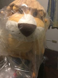 (Category: ) located in . Submitted by adelato (Listing ID 1065677382, Image 1). Description: .