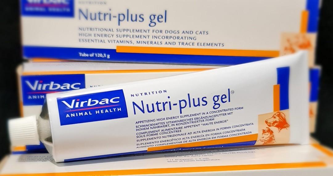 Nutrigel plus for dogs cheap