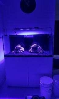 4 Ft Fish Tank