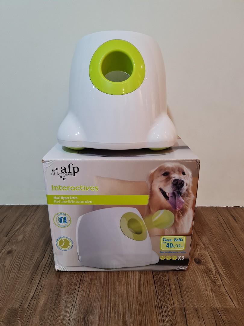 Afp interactive 2024 hyper fetch