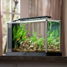 Aquarium Fluval Spec V Pet Supplies Homes Other Pet