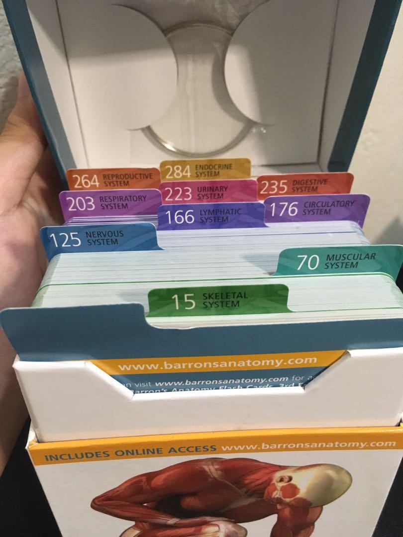 Barron’s Anatomy Flash Cards, Hobbies & Toys, Books & Magazines