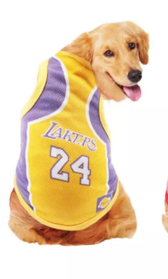 Pet Clothes Dog - LOS ANGELES LAKERS 🏀 KOBE BRYANT🏀 BASKETBALL, Pet  Supplies, Homes & Other Pet Accessories on Carousell