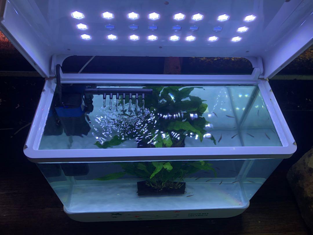 Fish tank bundle top