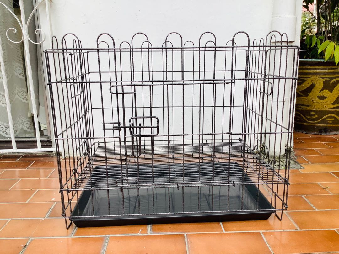 Shih tzu playpen online