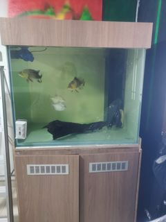 (Category: ) located in . Submitted by samdien (Listing ID 1065851683, Image 1). Description: .