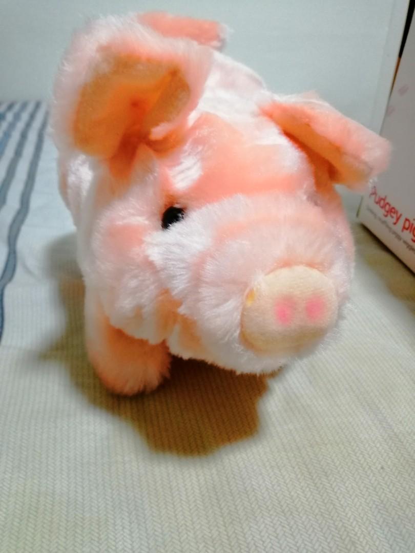 Hamleys shop pudgey pig