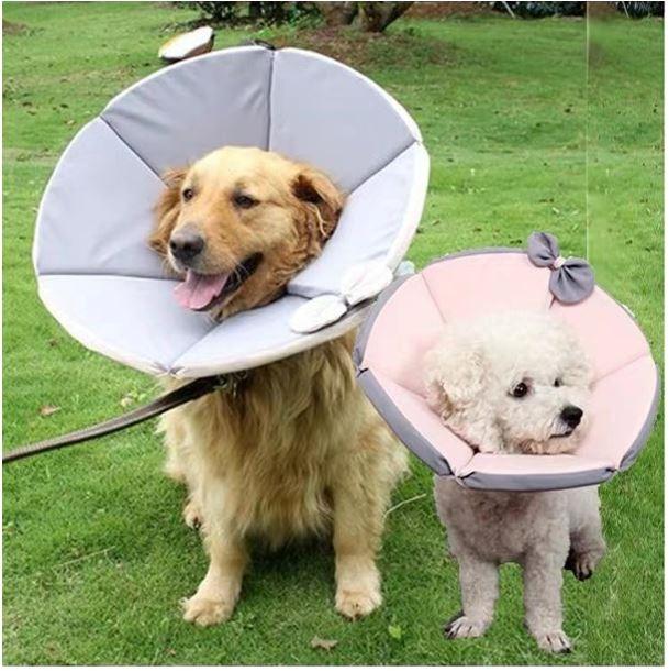 Pet Collar Dog Cat Cushion Collar Soft Pet Elizabethan Collar / Post