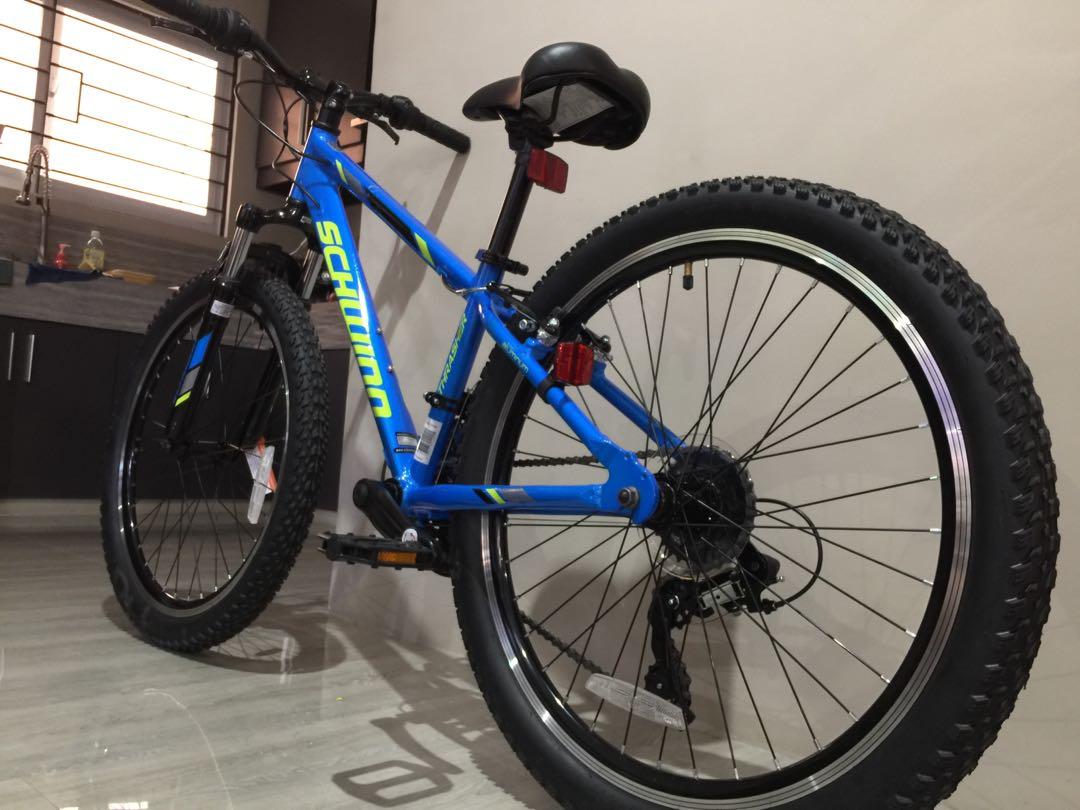 Schwinn thrasher sale 24