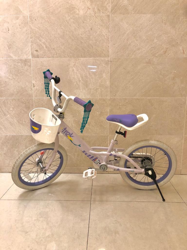 Trek 16 Mystic Child Bicycle Sports Equipment Bicycles Parts Bicycles on Carousell