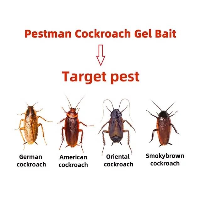Cockroach Killer Cockroach Gel Cockroach Tube Cockroach Bait Stations Pest Control New Arrivals While Stocks Last Furniture Home Living Cleaning Homecare Supplies Pest Control On Carousell