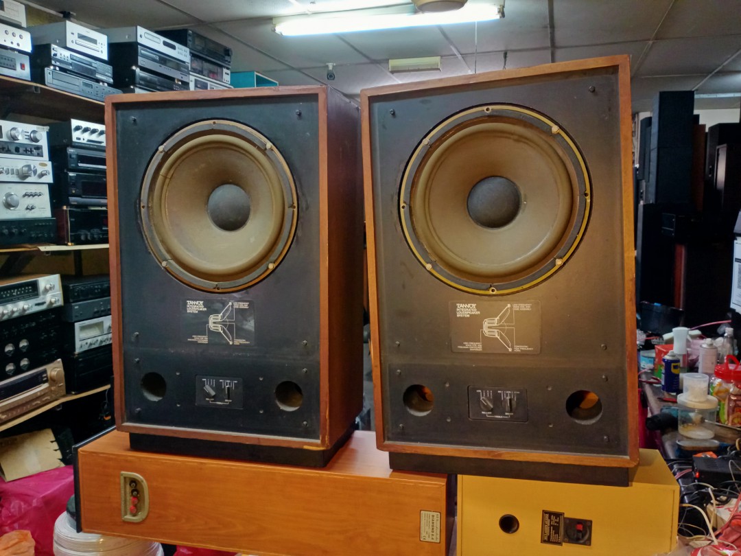 Tannoy 15 inch 2025