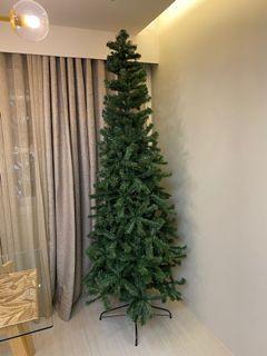 8 ft. Slim type Christmas Tree