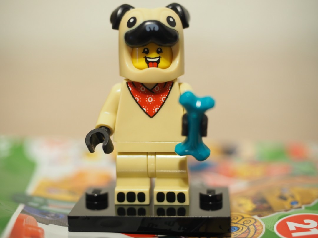 全新已開袋確認lego Series 21 Minifigures No 5 巴歌犬狗狗人仔 有蛋紙底板 玩具 遊戲類 玩具 Carousell