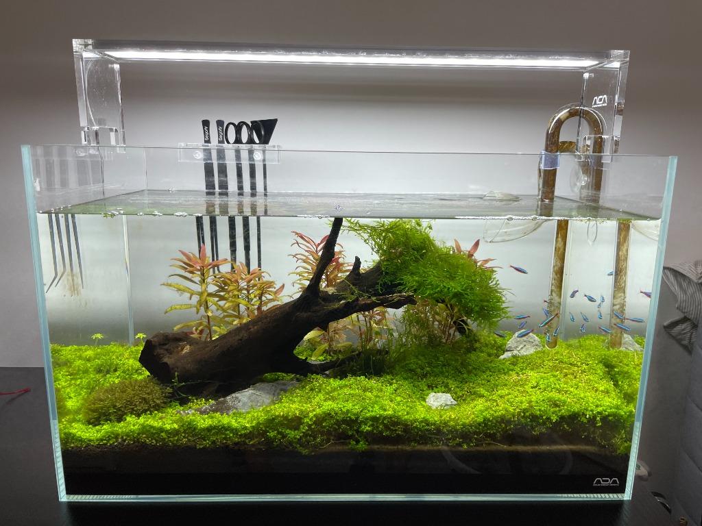 ada 60 litre aquarium full set pet