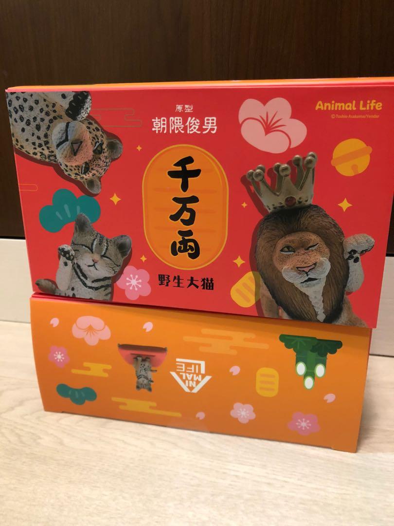 超值之選animal Life 朝隈俊男千萬両野生大貓 玩具 遊戲類 玩具 Carousell