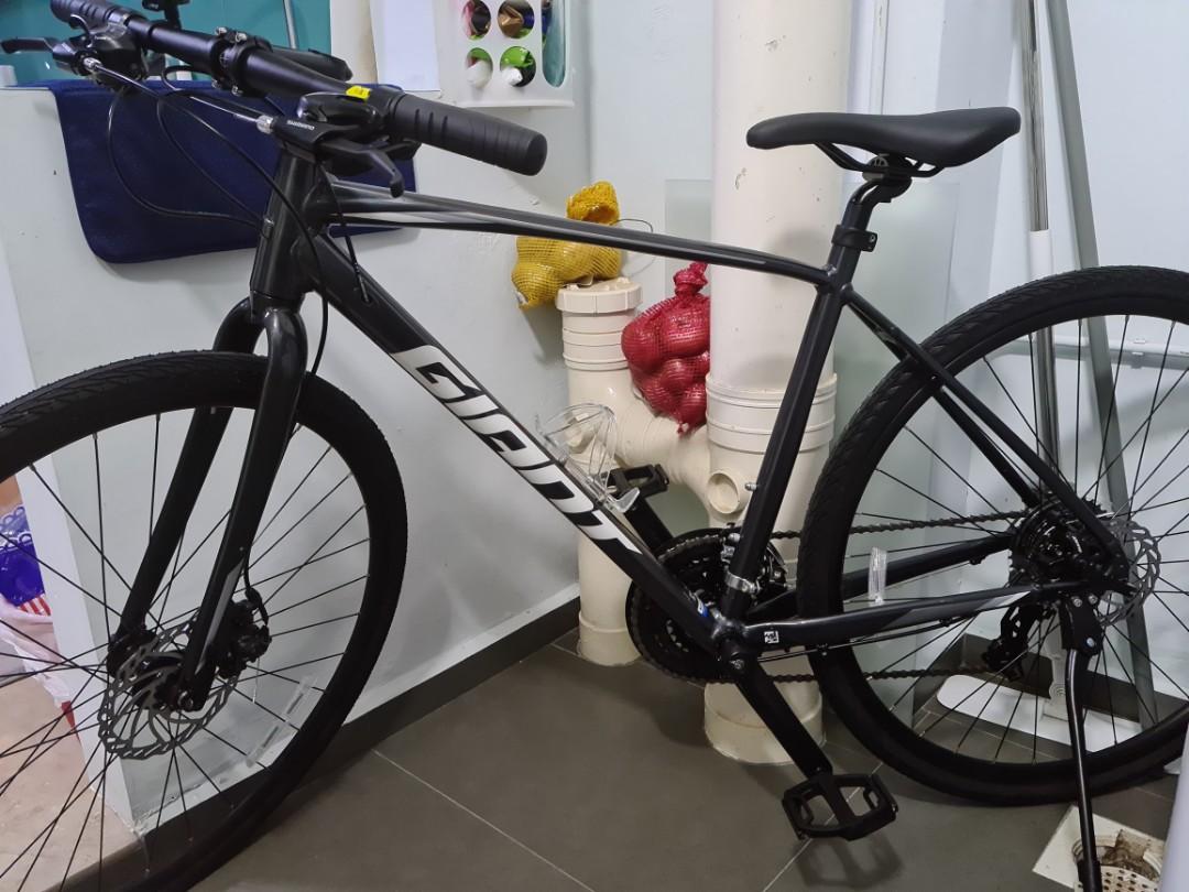 Giant Escape 2 Hybrid Size M, Sports 