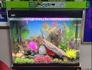 (Category: ) located in . Submitted by dharz93 (Listing ID 1060378951, Image 1). Description: .