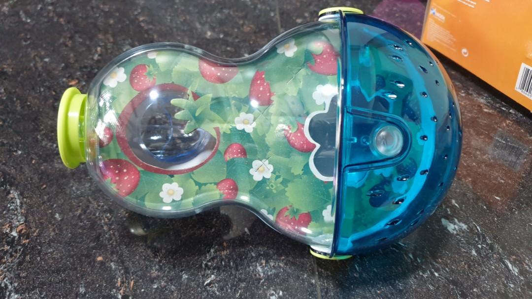 Habitrail Ovo Mini Maze Pet Supplies Homes Other Pet Accessories on Carousell