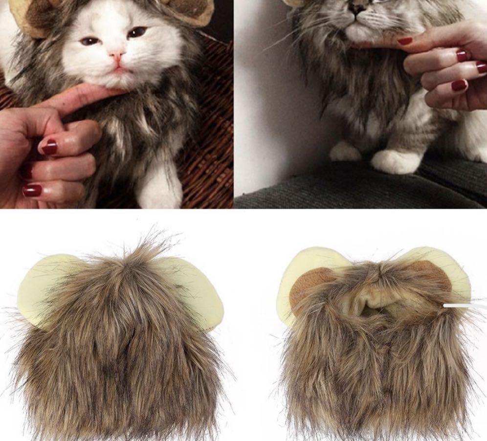Lion Hair for pets, Pet Supplies, Health & Grooming on Carousell