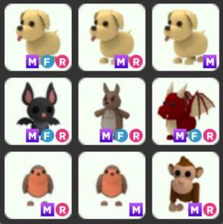 Shrew Adopt me pet roblox, Toys & Games, Video Gaming, In-Game Products