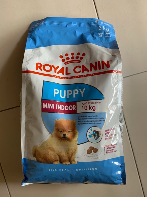 new royal canin mini indoor pet supplies pet food on carousell