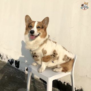 （分類：）位於 。 由 jm_dog 提交（商品編號 1066327954，圖片 1）。簡介： 。
