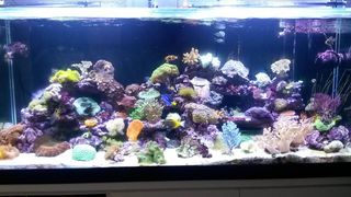 (Category: ) located in . Submitted by yzl86 (Listing ID 1066393701, Image 1). Description: .