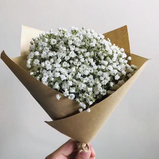 (Category: ) located in . Submitted by khflorist (Listing ID 1066434678, Image 1). Description: .