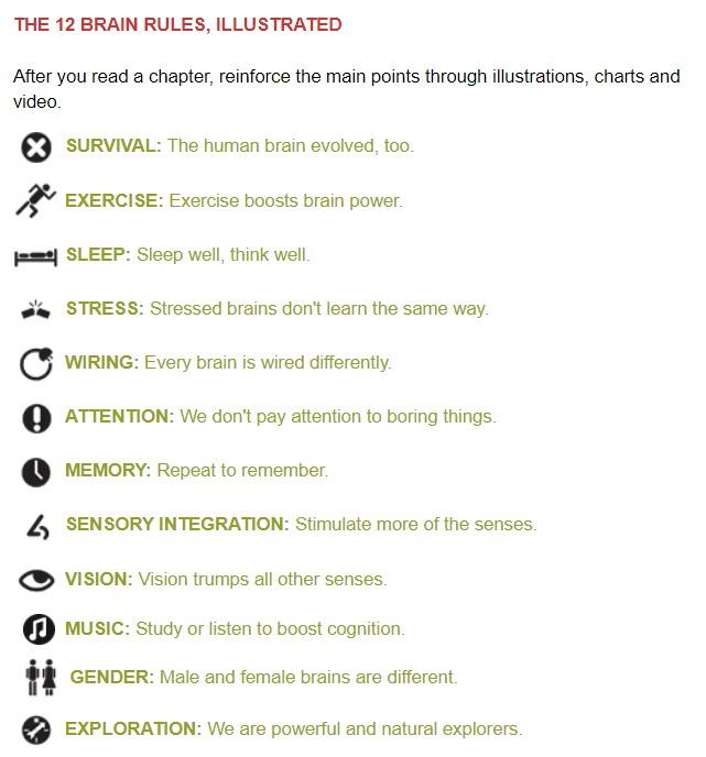 Brain Rules - By John Medina (US Best Seller), Hobbies & Toys, Books ...