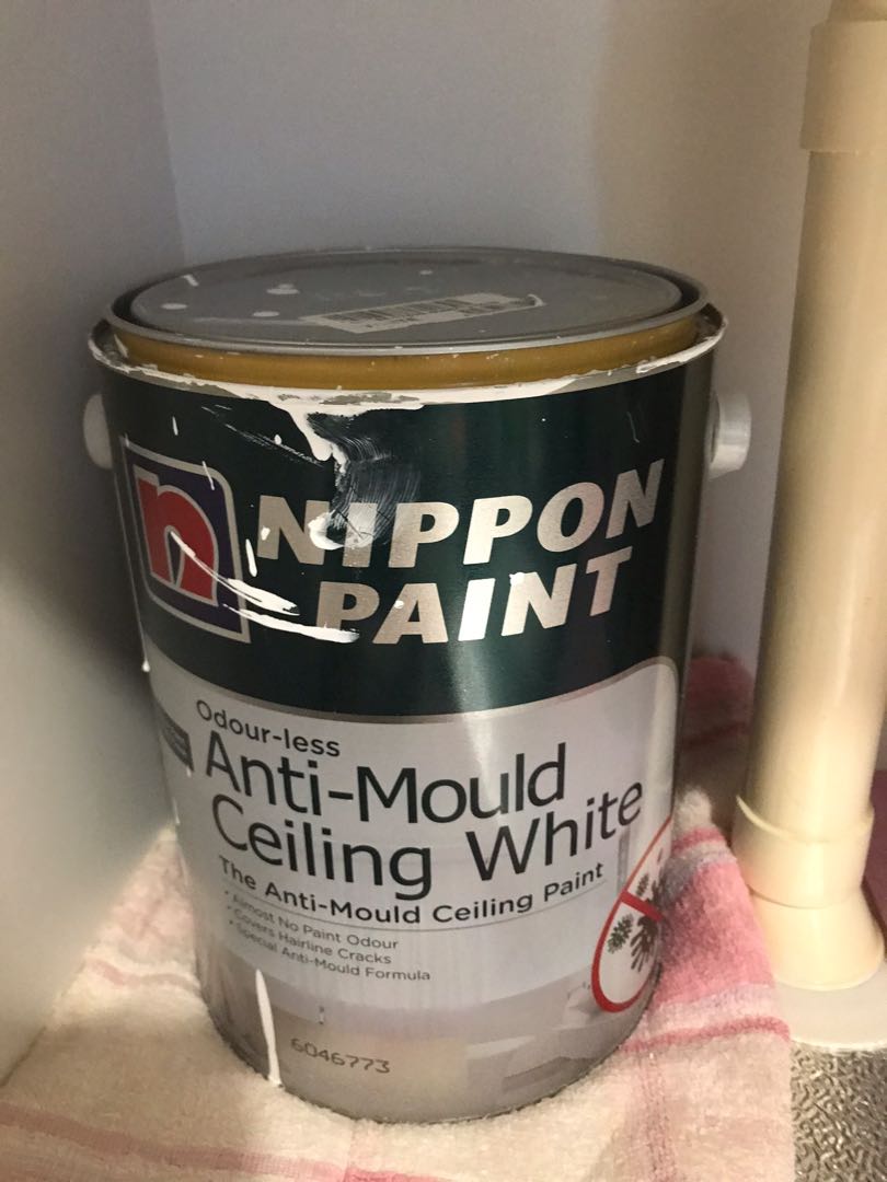 Nippon Paint anti mould ceiling white, Everything Else on Carousell