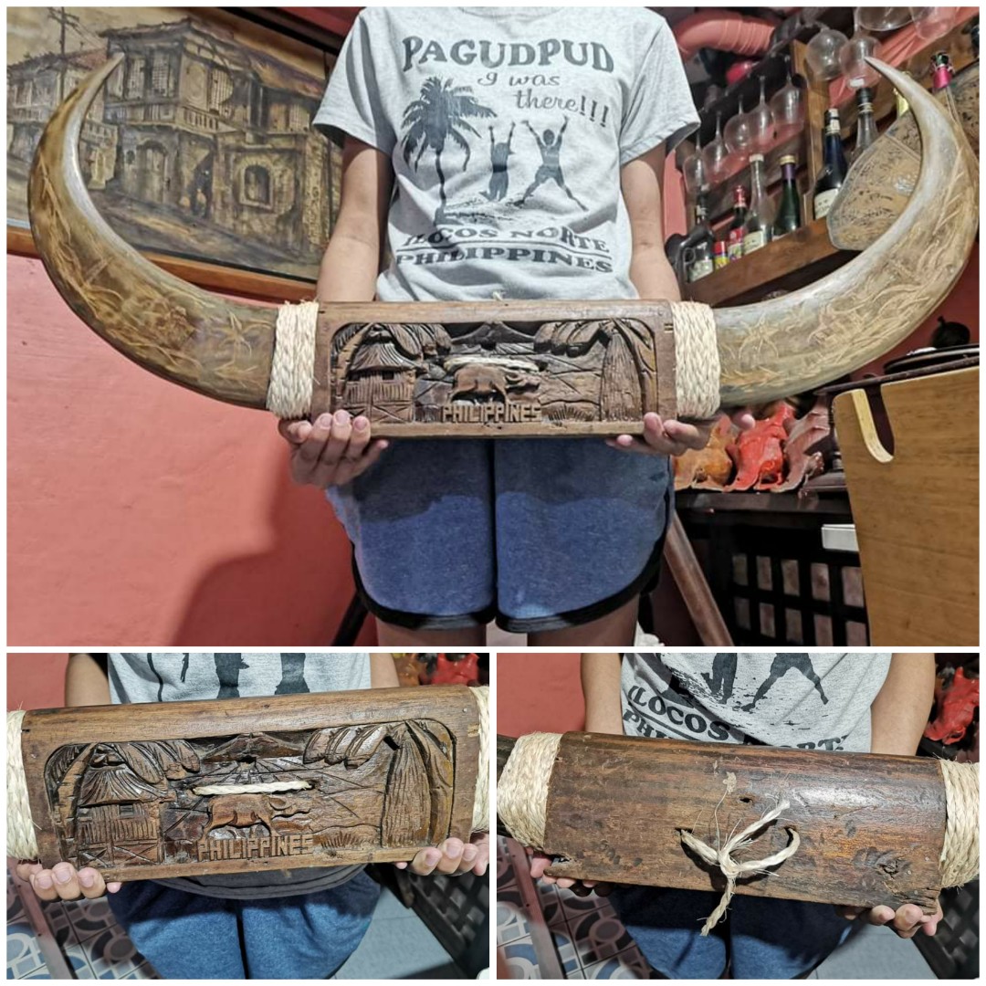 Old Huge Carabao Horn, Hobbies & Toys, Memorabilia & Collectibles, Currency on Carousell