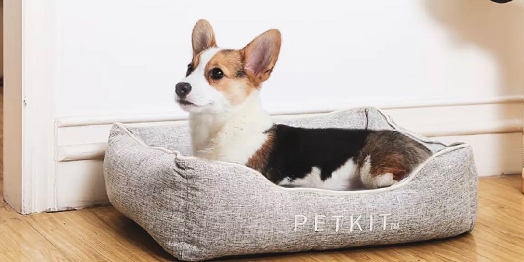Petkit memory foam dog bed, Pet