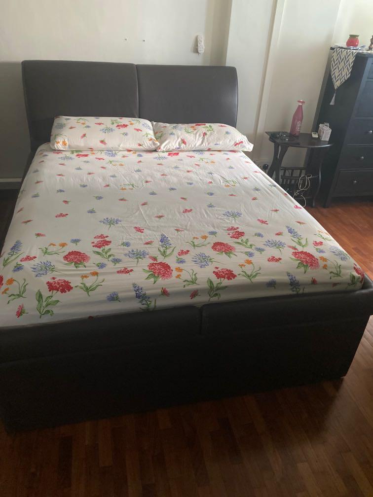 Seahorse Used Queen Sized Storage Bed, Used Queen Platform Bed