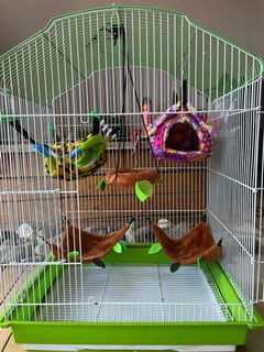 (Category: ) located in . Submitted by arbitta (Listing ID 1066273694, Image 1). Description: .
