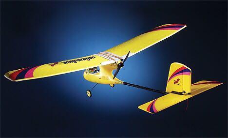 Wing dragon rc plane sales