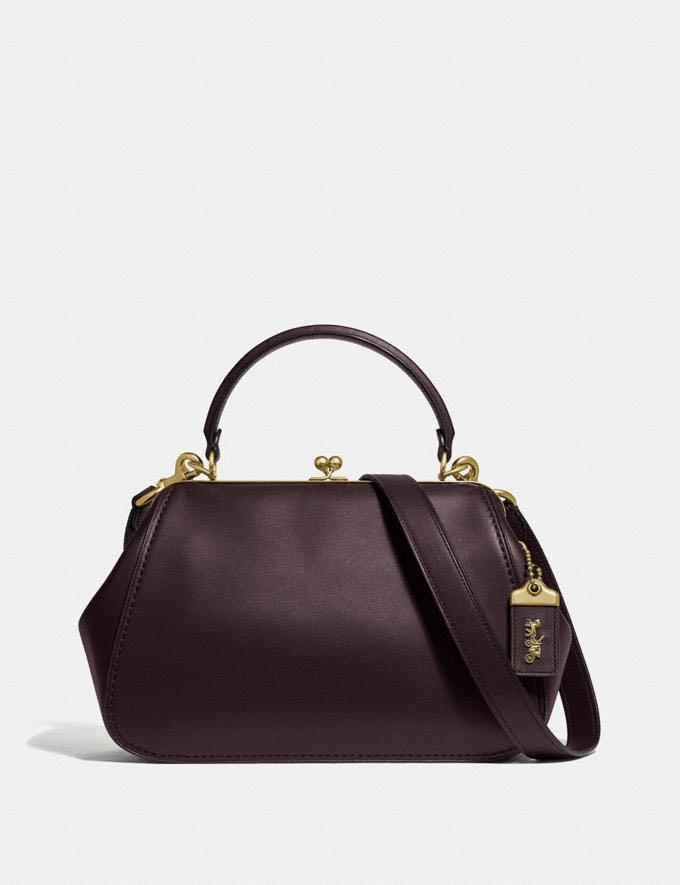 Frame bag best sale coach