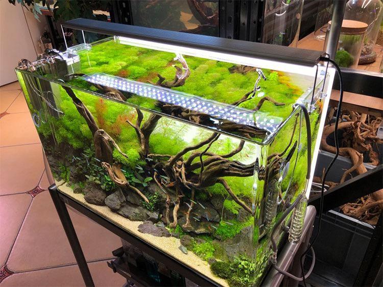 Planted aquarium lighting deals for sale
