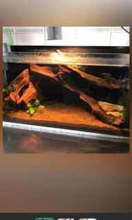 (Category: ) located in . Submitted by phonix25 (Listing ID 1066608511, Image 1). Description: .
