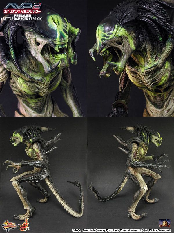 Hot Toys AvP Battle Damaged Predalien Hobbies Toys Toys Games on Carousell