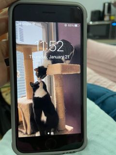 (Category: ) located in . Submitted by vastforest.783640 (Listing ID 1066451977, Image 1). Description: .