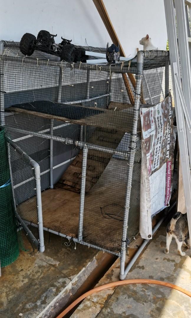 Kandang Kucing Free, Pet Supplies, Pet Accessories on Carousell