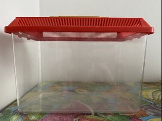 (Category: ) located in . Submitted by cool_kidzz (Listing ID 1066546521, Image 1). Description: .